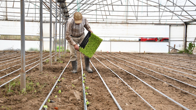 Büyükşehir desteğiyle topraklar bereketlendi